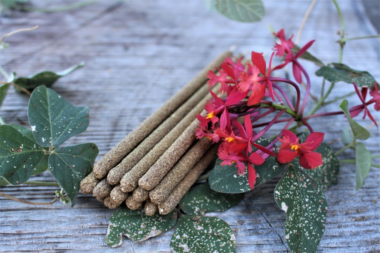 Palo Santo Premium Handrolled Smudging Incense Sticks x 5
