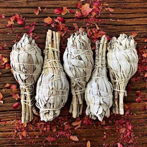 Certified Organic White Sage Torches (9 - 11cm)- 5 Pack